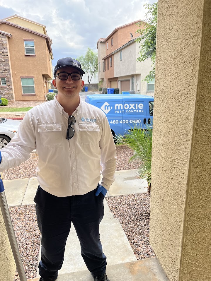 Moxie Pest Control project